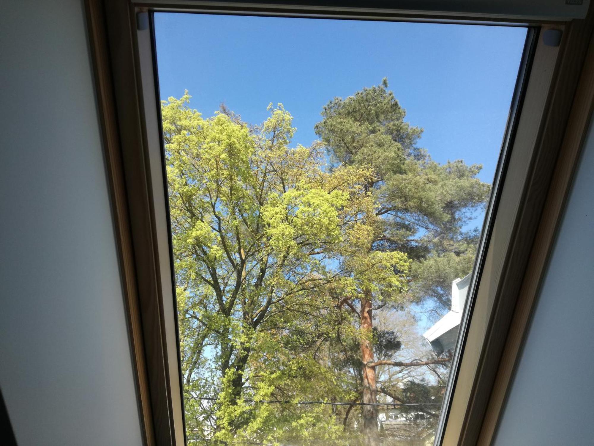 Wilken Apartments 2024 タリン エクステリア 写真